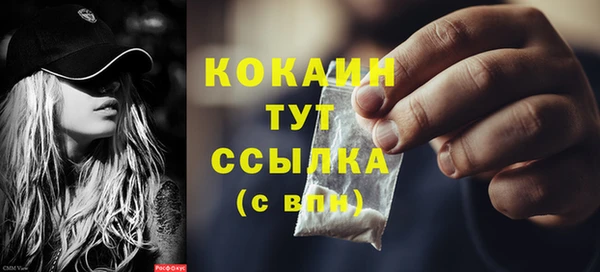 дживик Няндома