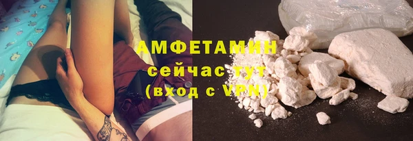 дживик Няндома