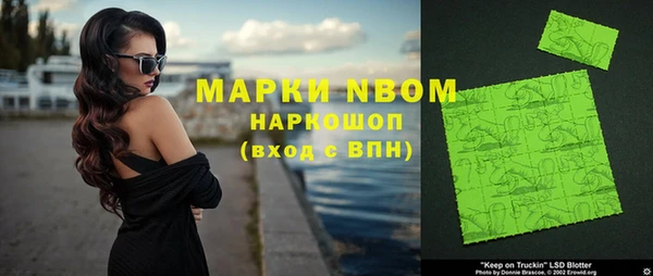дживик Няндома