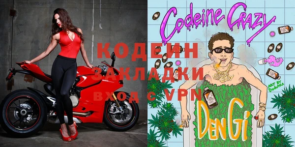 шишки Новозыбков