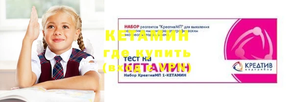 дживик Няндома