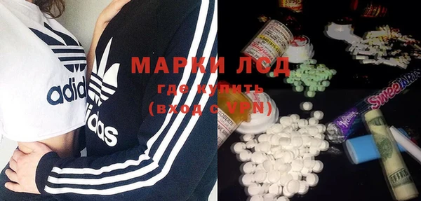 шишки Новозыбков