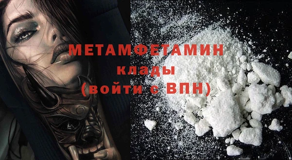 дживик Няндома