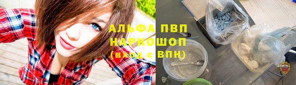дживик Няндома