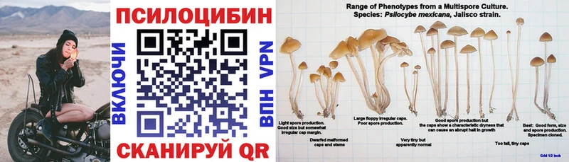 ссылка на мегу ССЫЛКА  Орлов  Псилоцибиновые грибы мухоморы 